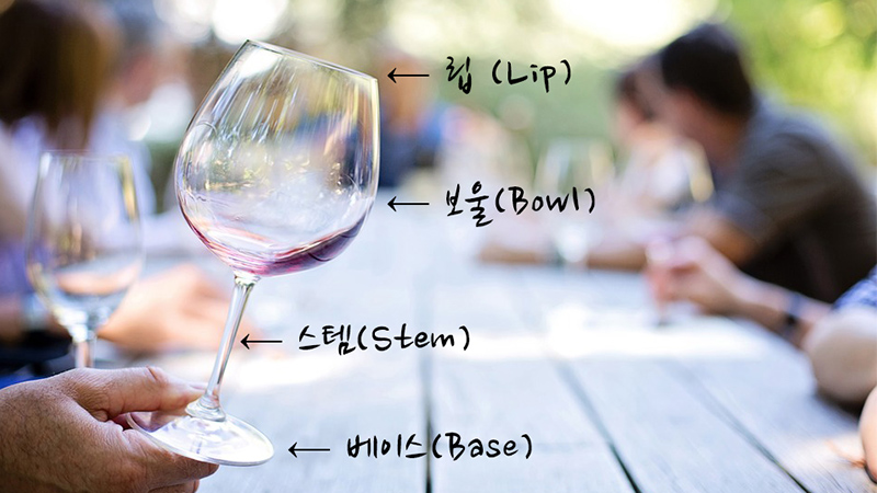 wine-beginner-manner 12