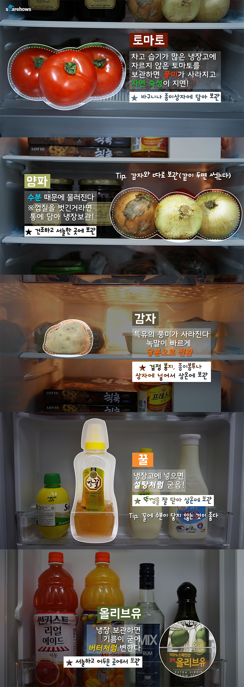 don_put_in_your_fridge 01