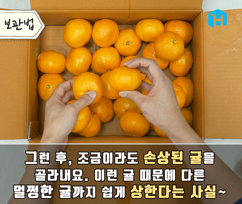 tangerine storage 03