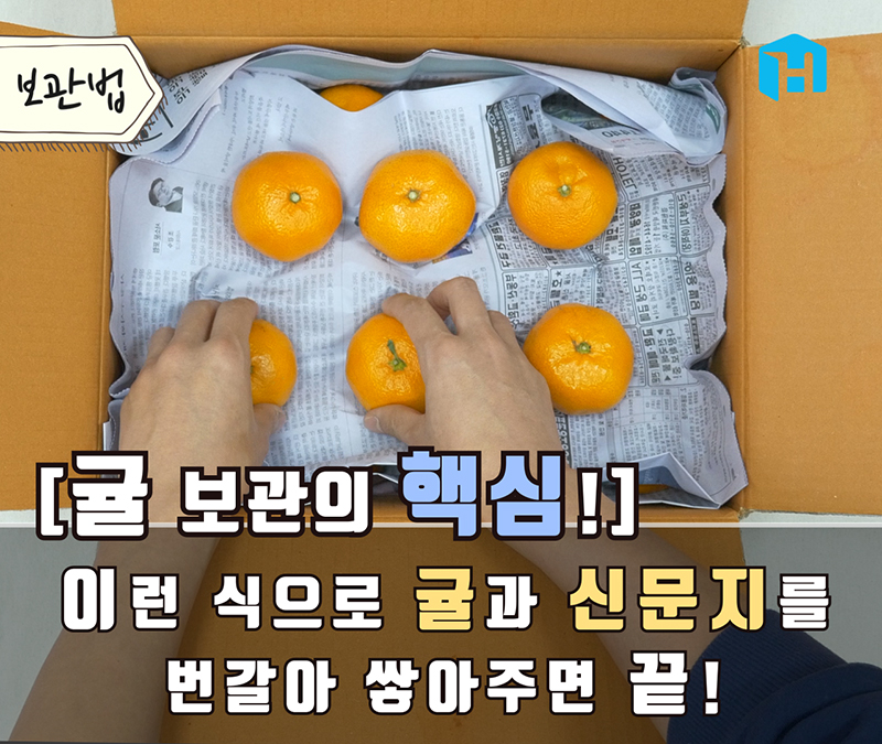 tangerine storage 05