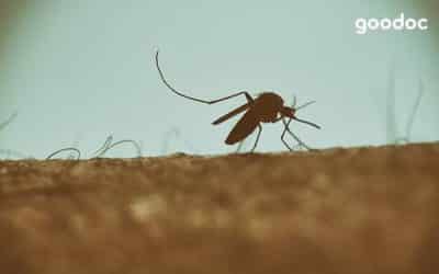 늘어나는 모기매개 질병,  질병관리본부가 제안하는 모기 예방 수칙